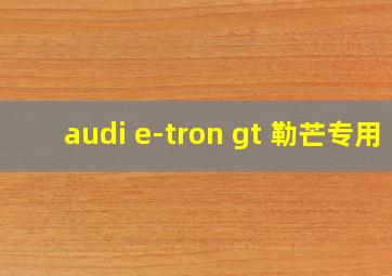 audi e-tron gt 勒芒专用